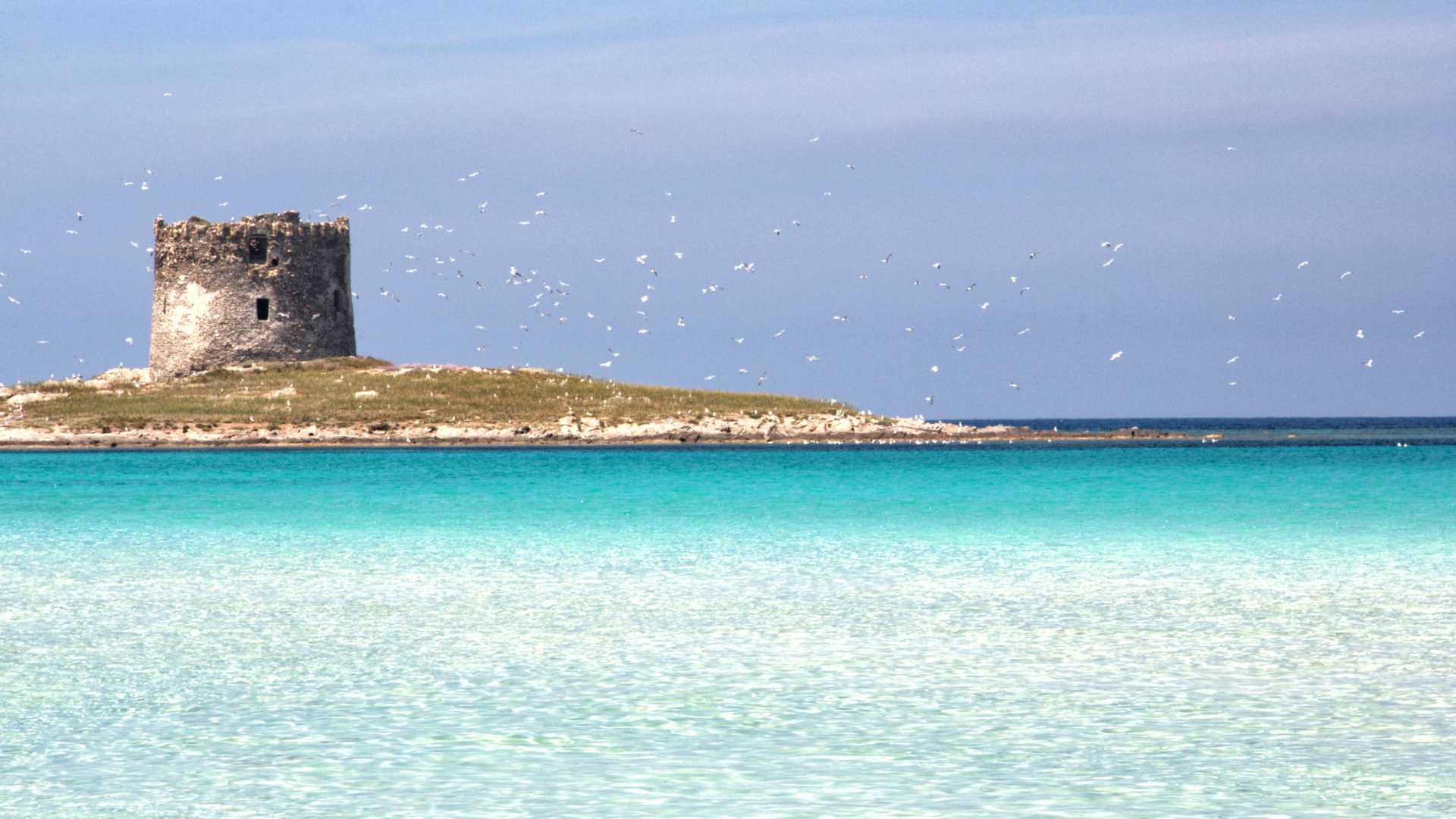 Stintino In Vacanza